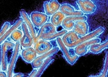 ახალი ვირუსით დაინფიცირებული 26 შემთხვევიდან 8 ფატალურად დასრულდა – ჯანმო განახლებულ მონაცემებს აქვეყნებს