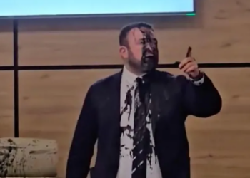 „ჩემი ინფორმაციით, ეს საღებავი შეიცავს ბეტა კანცეროგენს, რაც ჯანმრთელობისთვის სახიფათო ნივთიერებაა“ – ირმა ჭკადუა ცესკოს სხდომაზე მომხდარს გამოეხმაურა