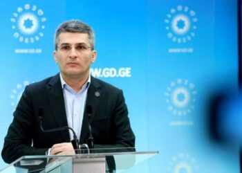 მძიმე სანახავია სახეში წიხლის ჩარტყმა წაქცეული ადამიანისათვის. ამას გამართლება ვერაფრით და ვერანაირ სიტუაციაში ვერ ექნება! – მამუკა მდინარაძე