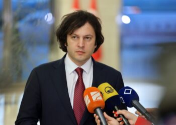 პოლიციამ დააკავა რუსეთის მოქალაქეები, ასევე იყო ბრიტანეთის მოქალაქე, რომელიც უკანონოდ შეიჭრა პარლამენტის შენობაში, შესაძლოა, საქმე გვქონდეს უცხოელ ინსტრუქტორებთან – ირაკლი კობახიძე