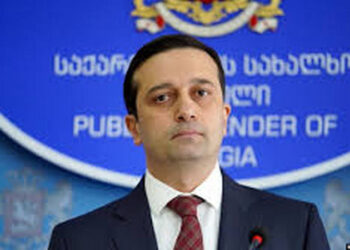 მოვუწოდებთ შსს-ს, არ გამოიყენოს სპეციალური საშუალებები მშვიდობიანი შეკრების მონაწილეთა მიმართ – ომბუდსმენი