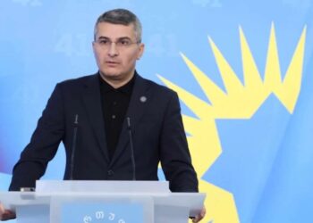 „საკუთარი სამშობლოს მტრები არიან ჩვეულებრივი, ქმედითი, მავნებელი მტრები!“ – მამუკა მდინარაძე