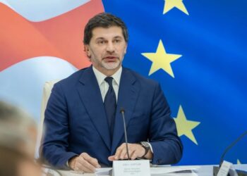 წუხანდელ აქციაზე საზოგადოებამ ვერ ნახა დაშავებული მომიტინგეები და პოლიციელები, რაც კიდევ ერთხელ მოწმობს იმას, რომ ყველა ქმედება იყო იმ სცენარის ნაწილი, რასაც გარე ძალების მიერ დატრენინგებული ორგანიზატორები გეგმავდნენ – კახა კალაძე