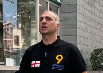 ალეკო ელისაშვილს ალი ბაბაევზე თავდასხმისთვის სამ წლამდე პატიმრობა ემუქრება