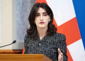 საქართველოში ჩატარდა ელექტრონული არჩევნები და ვერავინ ჩატენიდა ყუთში იმ რაოდენობის ბიულეტენს, რომ არჩევნებზე გავლენა მოეხდინა – მაკა ბოჭორიშვილი მაკრონის განცხადებაზე