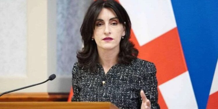 საქართველოში ჩატარდა ელექტრონული არჩევნები და ვერავინ ჩატენიდა ყუთში იმ რაოდენობის ბიულეტენს, რომ არჩევნებზე გავლენა მოეხდინა – მაკა ბოჭორიშვილი მაკრონის განცხადებაზე