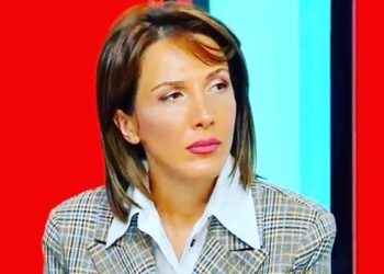 ამ დაპირისპირების ინიციატორი გახარია იყო და კანონის წინაშე პასუხი უნდა აგოს – თამთა მეგრელიშვილი