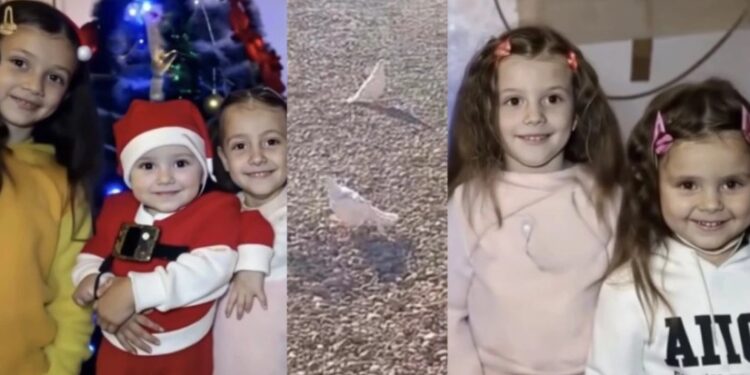 „ეს არის იმედი, იმედი იმისა, რომ მათი შვილები ანგელოზებად იქცნენ და არ ტოვებენ მათ…“ – რა კადრები ვრცელდება სოფელ საბერიოდან