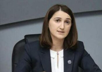 “დიდი ალბათობით, ყაველაშვილის მიერ შეწყალებულებს საშიში დანაშაულები უნდა ჰქონდეთ ჩადენილი” – თოლორაია 613 მსჯავრდებულის შეწყალებაზე