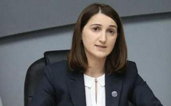 “დიდი ალბათობით, ყაველაშვილის მიერ შეწყალებულებს საშიში დანაშაულები უნდა ჰქონდეთ ჩადენილი” – თოლორაია 613 მსჯავრდებულის შეწყალებაზე