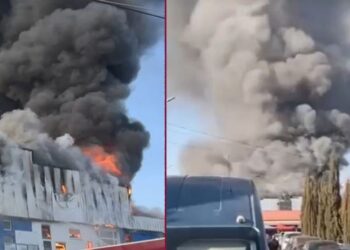 ლილოს ბაზრობის ტერიტორიაზე გაჩენილი ხანძარი ლოკალიზებულია