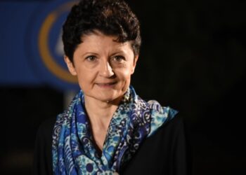 “ვუსამძიმრებ ჩვენს ექსტრემისტ ოპოზიციასა და ვითომ არასამთავრობო ორგანიზაციებს – ჩვენი დელეგაციის აქედან ყველანაირი მიზეზის გარეშე გაშვების პროექტი ჩაუვარდათ” – თეა წულუკიანი