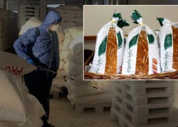 მომხმარებელმა „შპს იფქლის“ პურში უცხო სხეული აღმოაჩინა – საწარმოს წარმოების პროცესი შეუჩერეს