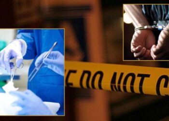 „პაციენტი კლინიკაში სერიოზული დაზიანებებით გადაიყვანეს“ – ავსტრიაში საქართველოს მოქალაქე დააკავეს, რომელიც არალეგალურ კოსმეტიკურ ოპერაციებს ატარებდა