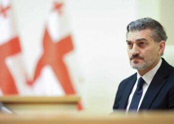 როდესაც პარლამენტში ჩემს ქმედებას განიხილავდნენ, მეკითხებოდნენ, რატომ ვაკეთებდი ამას და ვპასუხობდი – რადგან მე თავდამსხმელი ვარ და კვლავ ვრჩები თავდამსხმელად – მიხეილ ყაველაშვილი