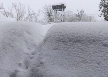 თოვლი მატულობს, ბევრ ადგილას, სახურავები ჩავარდა… – რა მდგომარეობაა, ამ დროისთვის, გურიაში