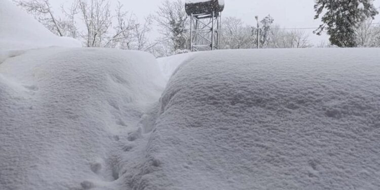 თოვლი მატულობს, ბევრ ადგილას, სახურავები ჩავარდა… – რა მდგომარეობაა, ამ დროისთვის, გურიაში