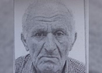 იმერეთში დიდთოვლობის დროს დაკარგულ 72 წლის კოტე არველაძეს ეძებენ