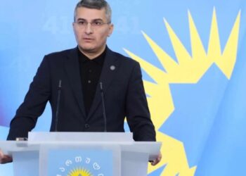 “სიტყვა დამოუკიდებლობა მხოლოდ რუსეთისგან დამოუკიდებლობას არ ნიშნავს, გაცილებით ფართოა, ყველა უცხო ქვეყანას თუ ძალას მოიცავს!” – მამუკა მდინარაძე