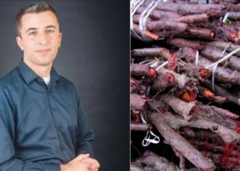 „მაღალი რისკის შემცველია, ჩემი რეკომენდაციაა, რომ…“ – სურსათის უვნებლობის სპეციალისტი ენდროს საღებავის გამოყენებაზე