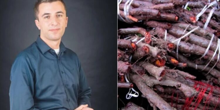 „მაღალი რისკის შემცველია, ჩემი რეკომენდაციაა, რომ…“ – სურსათის უვნებლობის სპეციალისტი ენდროს საღებავის გამოყენებაზე