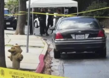 ლოს-ანჯელესში, 47 წლის ქართველი კაცის მკვლელობის ბრალდებით, 3 ქართველი დააკავეს