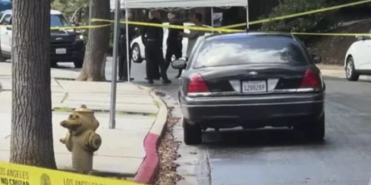 ლოს-ანჯელესში, 47 წლის ქართველი კაცის მკვლელობის ბრალდებით, 3 ქართველი დააკავეს