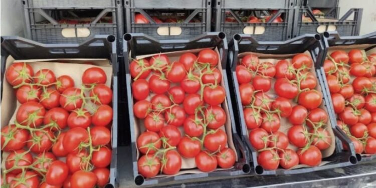 თურქეთიდან შემოტანილი 2 პარტია პომიდორი უკან გააბრუნეს – შემოსავლების სამსახური ინფორმაციას ავრცელებს