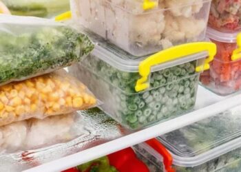 შეიძლება თუ არა საკვების გაყინვა – ზაზა თელიას რეკომენდაცია