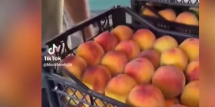 იდენტიფიცირებულია პირი და ობიექტიც, რომელიც ატმის შეღებვის კადრებში ფიგურირებს – სამართალდამცველები ფაქტს სწავლობენ