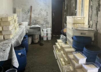 „ამოღებული და დალუქულია 250 კგ ყველი და 192 ქილა მაწონი…“ – სურსათის ეროვნული სააგენტო განცხადებას ავრცელებს