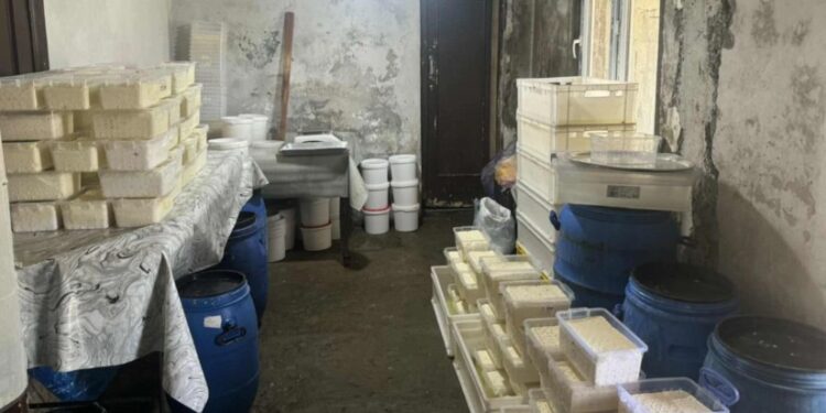 „ამოღებული და დალუქულია 250 კგ ყველი და 192 ქილა მაწონი…“ – სურსათის ეროვნული სააგენტო განცხადებას ავრცელებს