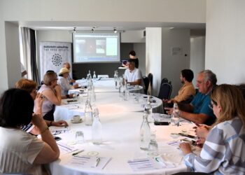 საზოგადოებრივი ორგანიზაციები ალიანს ქმნიან