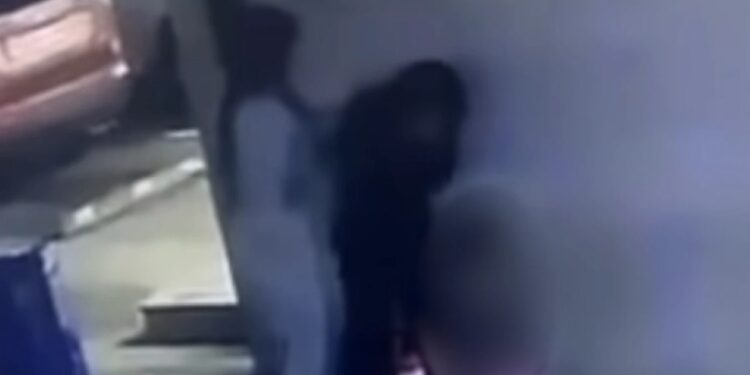 სავარაუდოდ სპორტსმენი ქალის მხრიდან ცემის ფაქტის ამსახველი ვიდეო სოციალურ ქსელში გავრცელდა – 14 წლის მოზარდზე ძალადობის ფაქტზე შსს-მ გამოძიება დაიწყო