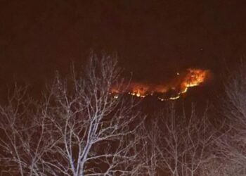 გომბორის უღელტეხილის მიმდებარე ტყეში ხანძარია