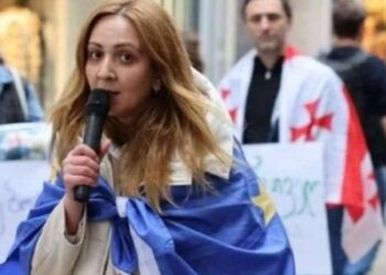 შსს-მ აქტივისტი ნანა სანდერი დააკავა