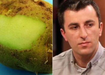 „შეუძლია ადამიანის ჯანმრთელობის დაზიანება“ – სურსათის უვნებლობის სპეციალისტი განმარტავს, რატომ მწვანდება კარტოფილი