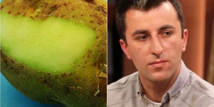 „შეუძლია ადამიანის ჯანმრთელობის დაზიანება“ – სურსათის უვნებლობის სპეციალისტი განმარტავს, რატომ მწვანდება კარტოფილი