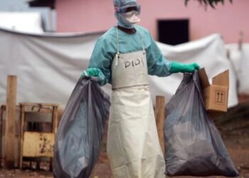 „იწვევს სისხლდენას, მაღალ სიცხესა და დიარეას“ – რა ვიცით „მარბურგის ვირუსის“ შესახებ, რომელიც ეთიოპიაში გავრცელდა