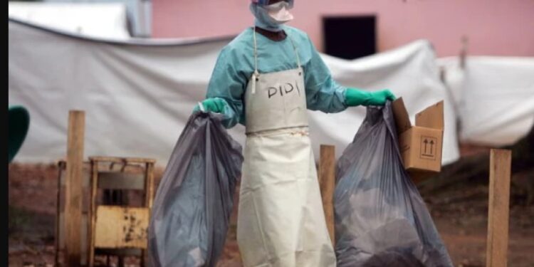 „იწვევს სისხლდენას, მაღალ სიცხესა და დიარეას“ – რა ვიცით „მარბურგის ვირუსის“ შესახებ, რომელიც ეთიოპიაში გავრცელდა