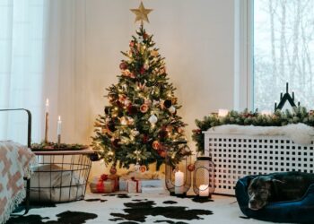 ახალი წლის საჩუქრები, რომლებიც ემოციებს ქმნის