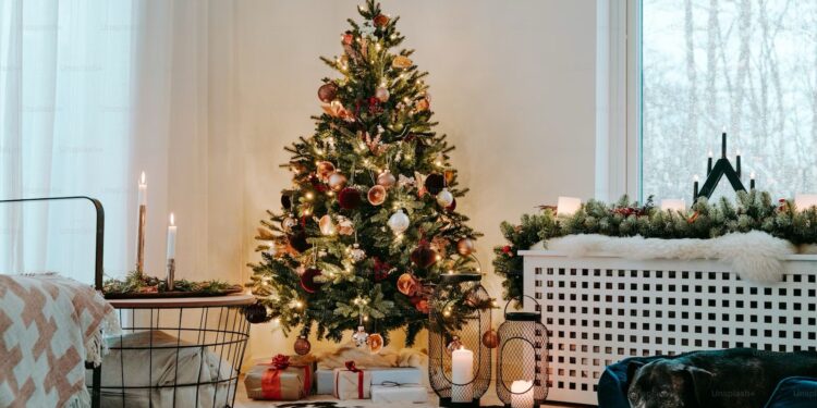 ახალი წლის საჩუქრები, რომლებიც ემოციებს ქმნის