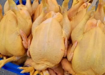 სურსათის სააგენტოს სპეციალური განცხადება – დაილუქა 109 კგ ქათამი, რომელიც ვეტერინარული ზედამხედველობის გარეშე იყო დაკლული