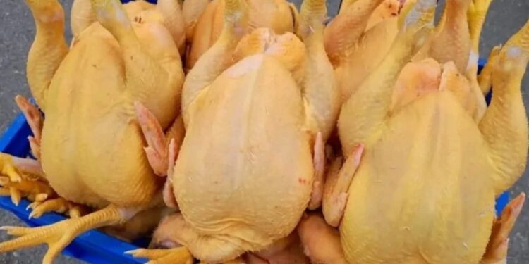 სურსათის სააგენტოს სპეციალური განცხადება – დაილუქა 109 კგ ქათამი, რომელიც ვეტერინარული ზედამხედველობის გარეშე იყო დაკლული