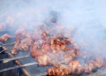 მწვადის ეს ნაწილი არასდროს მიირთვათ და სხვასაც აუკრძალეთ – გიორგი ღოღობერიძის სასარგებლო რჩევა