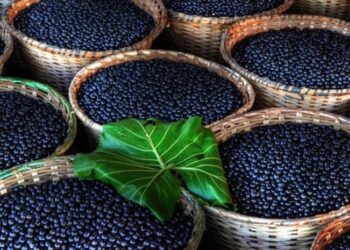 დასახელდა ახალი ხილი, რომელშიც კიბოს საწინააღმდეგო ნივთიერება აღმოაჩინეს – კვლევა