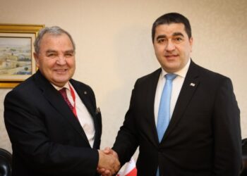შალვა პაპუაშვილი მალტის პარლამენტის თავმჯდომარეს შეხვდა