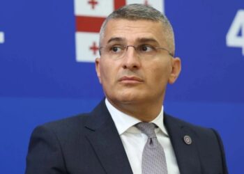 მამუკა მდინარაძეს სახელმწიფო დაცვა დაენიშნა