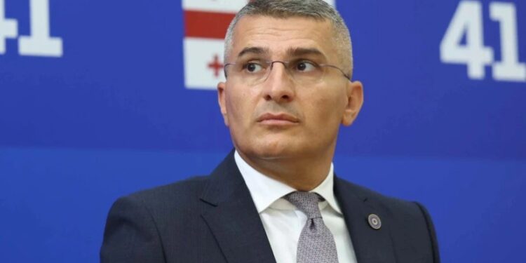 მამუკა მდინარაძეს სახელმწიფო დაცვა დაენიშნა